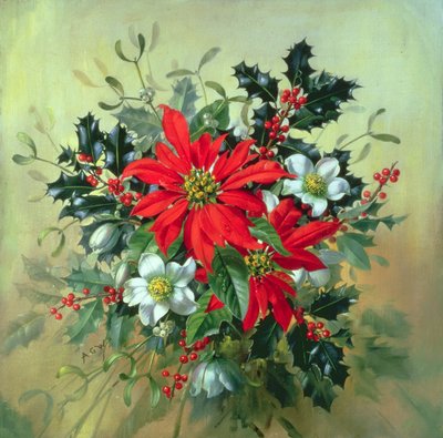 AB130 Un arrangiamento natalizio con agrifoglio, vischio e altri fiori invernali da Albert Williams