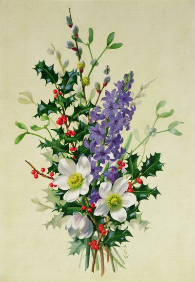 Ramo di rosa canina, agrifoglio, vischio e speronella da Albert Williams