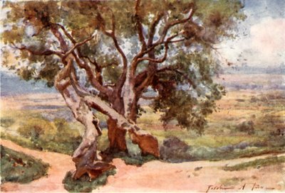 Campagna Romana, da Tivoli da Alberto Pisa