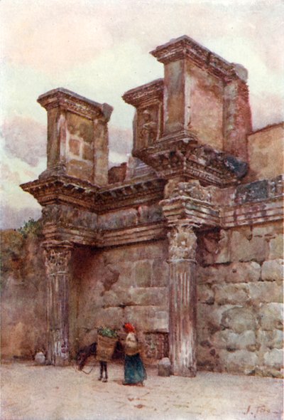 Foro di Nerva da Alberto Pisa