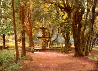 Viale di Ilex e Fontana (Fontana Scura) Villa Borghese da Alberto Pisa