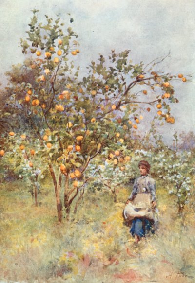 Alberi di limone: primavera da Alberto Pisa