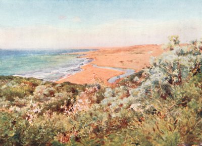 Costa di Selinunte da Alberto Pisa