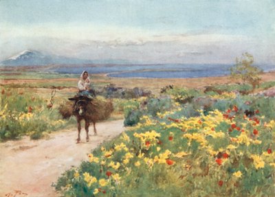 Primavera a Siracusa. Veduta dell