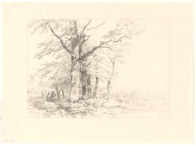 Studio di querce in un paesaggio da Albertus Brondgeest