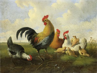 Un Gallo con Galline e Pulcini da Albertus Verhoesen