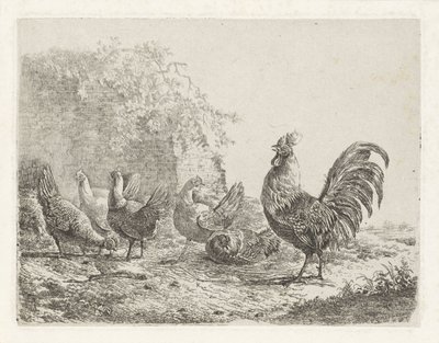 Gallo con cinque galline da Albertus Verhoesen
