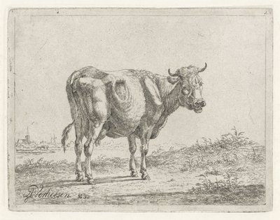 Mucca in piedi da Albertus Verhoesen