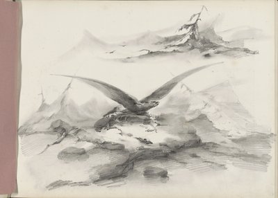 Aquila che vola sopra una costa con montagne da Albertus van Beest