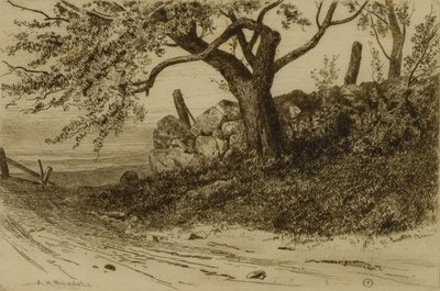 Strada di campagna da Albion Harris Bicknell