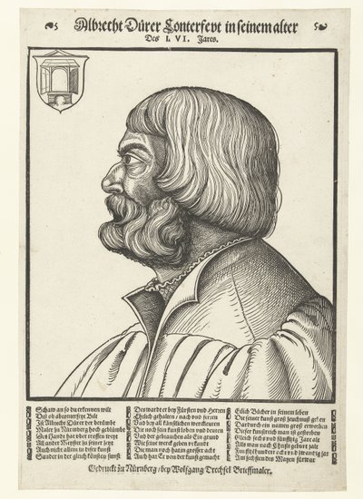Ritratto di Albrecht Dürer (1471-1528) da Albrecht (after) Durer or Duerer
