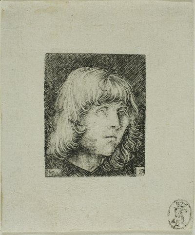 Testa di un giovane da Albrecht Altdorfer