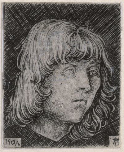 Testa di un giovane uomo da Albrecht Altdorfer