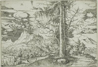 Paesaggio con un doppio abete da Albrecht Altdorfer