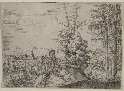 Paesaggio con Due Pini da Albrecht Altdorfer