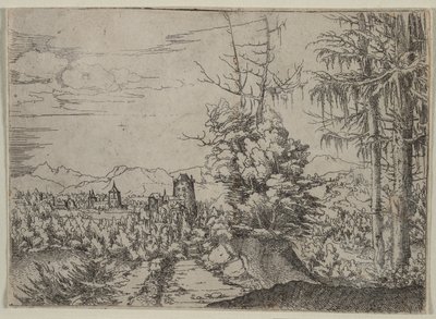 Paesaggio con due pini da Albrecht Altdorfer