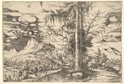 Paesaggio con un doppio abete, ca. 1521-22 da Albrecht Altdorfer