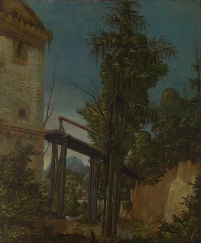 Paesaggio con un ponte pedonale da Albrecht Altdorfer