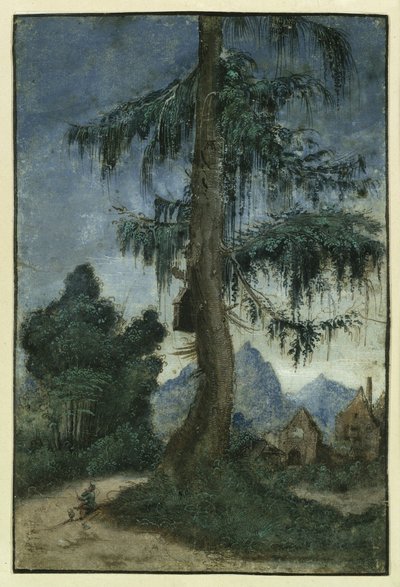  da Albrecht Altdorfer