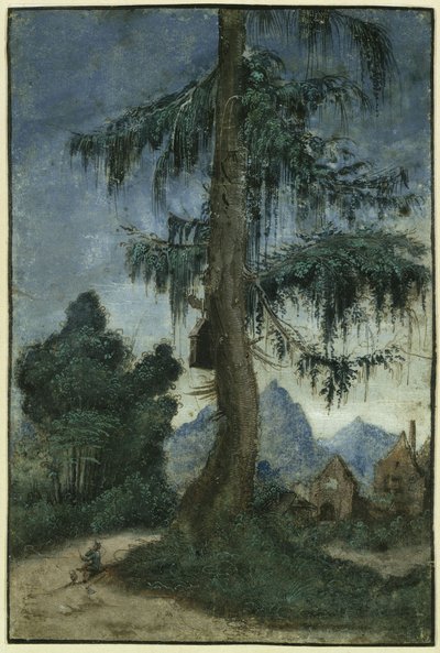  da Albrecht Altdorfer