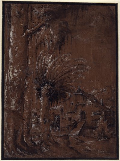 Paesaggio con mulino ad acqua da Albrecht Altdorfer