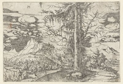 Paesaggio con doppio abete da Albrecht Altdorfer