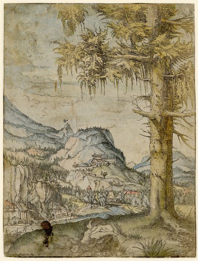 Grande abete da Albrecht Altdorfer