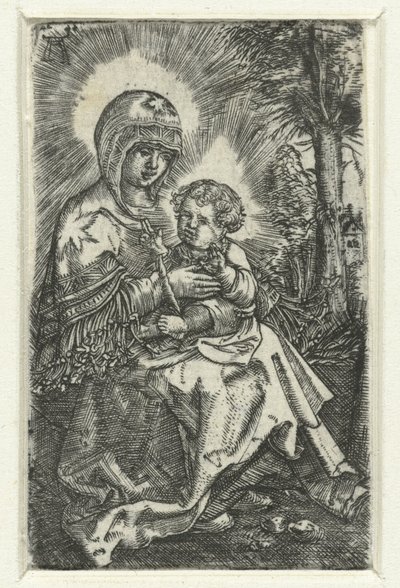 Maria con bambino nel paesaggio (Bella Maria di Ratisbona) da Albrecht Altdorfer