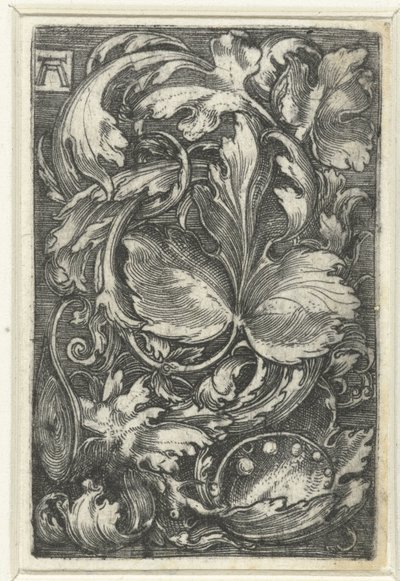 Ornamento con tralci di foglie da Albrecht Altdorfer