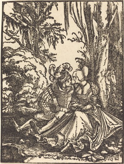 Coppia di Amanti in un Paesaggio da Albrecht Altdorfer