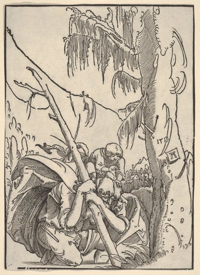  da Albrecht Altdorfer
