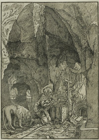 San Girolamo in penitenza, in una grotta da Albrecht Altdorfer