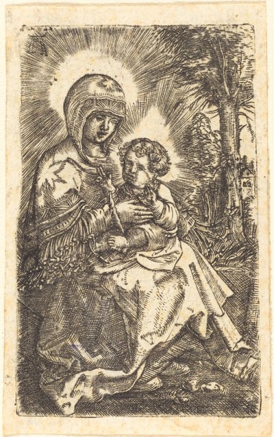 La "Bella Vergine" di Ratisbona in un Paesaggio da Albrecht Altdorfer