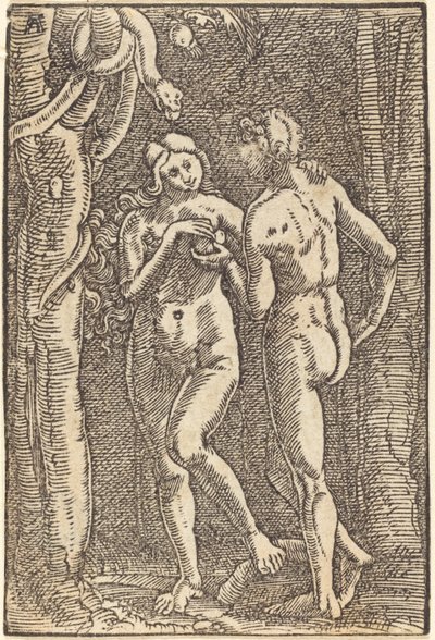 La caduta dell