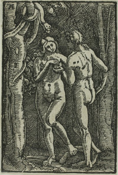 La caduta dell