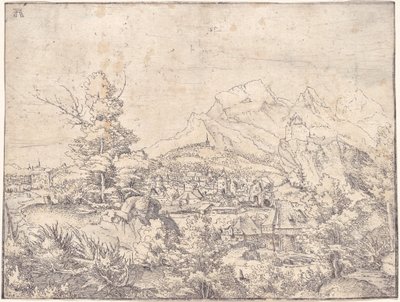 Il grande paesaggio con il mulino ad acqua da Albrecht Altdorfer