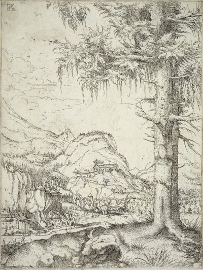 Il grande abete, c.1520 da Albrecht Altdorfer