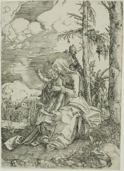 La Vergine con il Bambino benedicente in un paesaggio da Albrecht Altdorfer