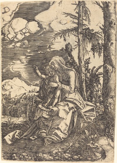 Vergine in un Paesaggio da Albrecht Altdorfer