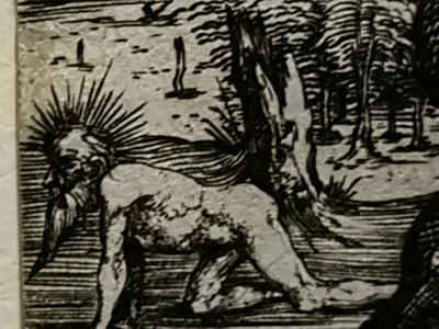 2021 - Secondo lotto di luglio Mateus2019 (72) da Albrecht Dürer