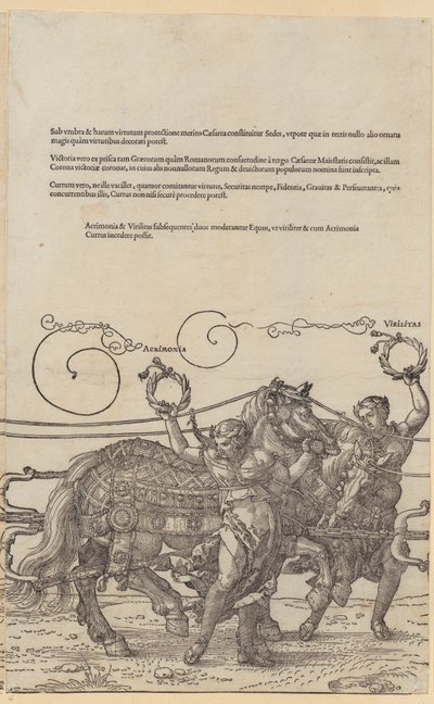  da Albrecht Dürer