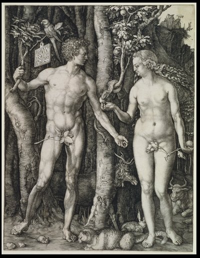  da Albrecht Dürer