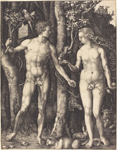 Adamo ed Eva da Albrecht Dürer