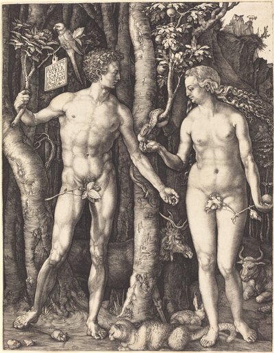 Adamo ed Eva da Albrecht Dürer