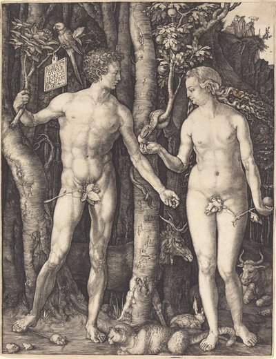 Adamo ed Eva da Albrecht Dürer
