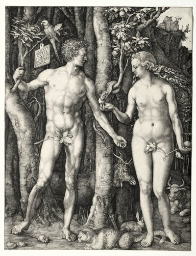 Adamo ed Eva da Albrecht Dürer