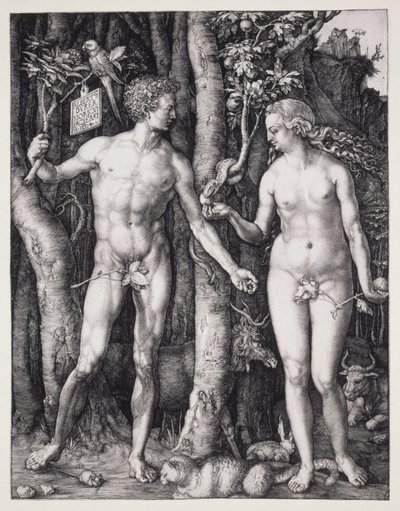 Adamo ed Eva da Albrecht Dürer