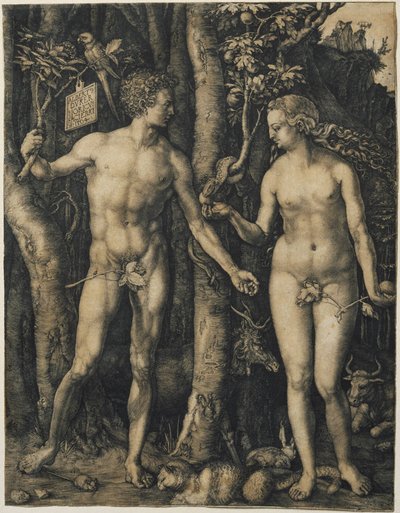 Adamo ed Eva da Albrecht Dürer