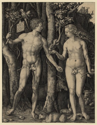 Adamo ed Eva da Albrecht Dürer