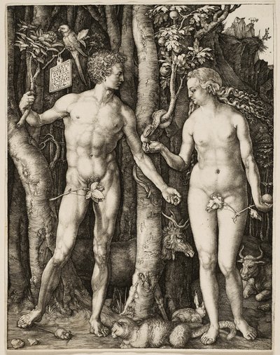 Adamo ed Eva da Albrecht Dürer